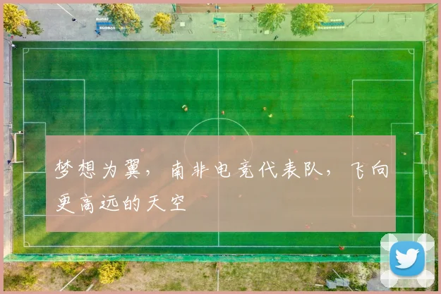 梦想为翼，南非电竞代表队，飞向更高远的天空
