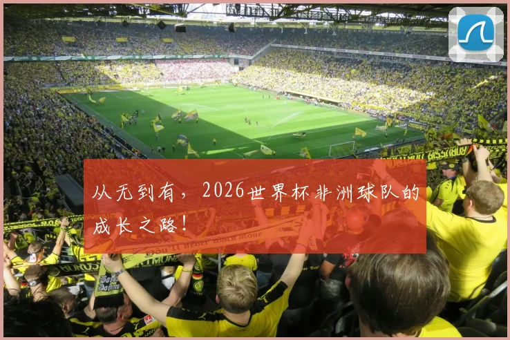 从无到有，2026世界杯非洲球队的成长之路！