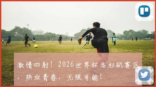 激情四射！2026世界杯洛杉矶赛区，热血青春，无限可能！